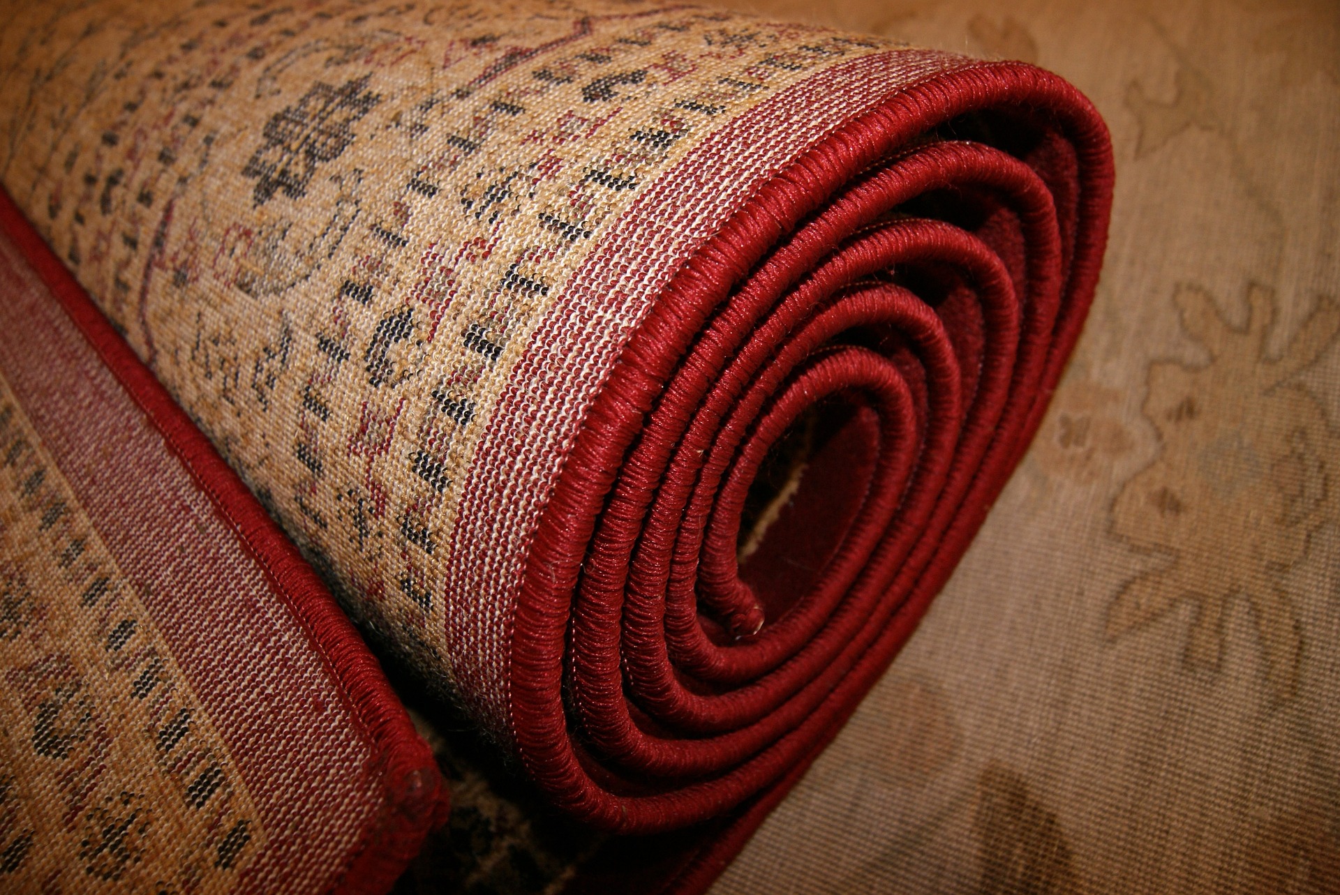 Your Carpet Can Contain All Categories of Contaminants!