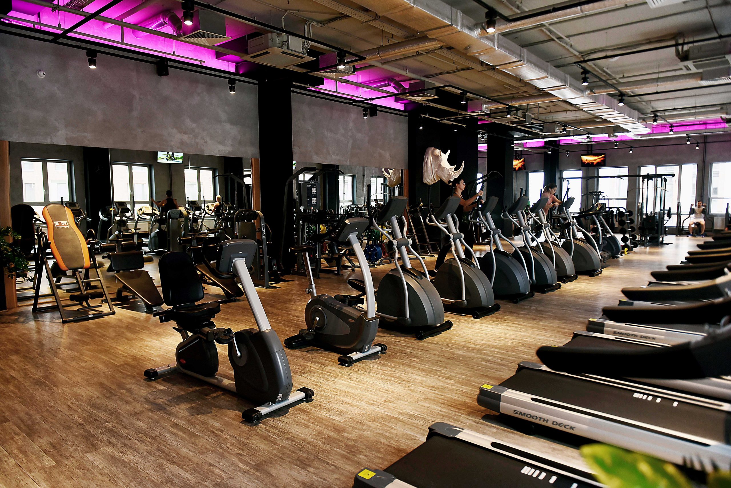 Organized cardio equipment at large gym